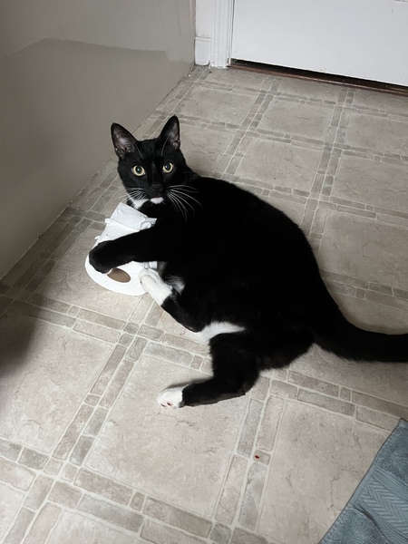 Buddy
