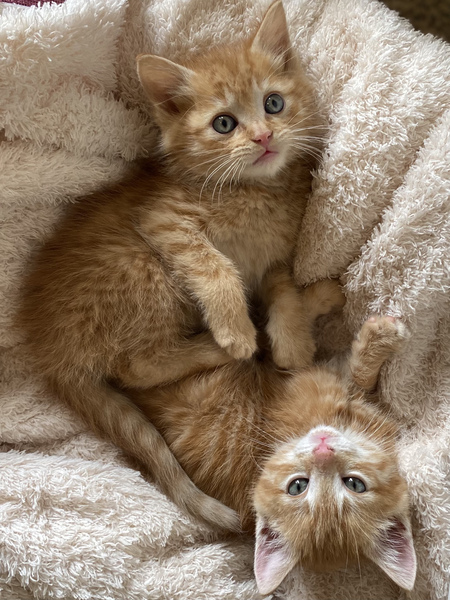 Parker & Pete