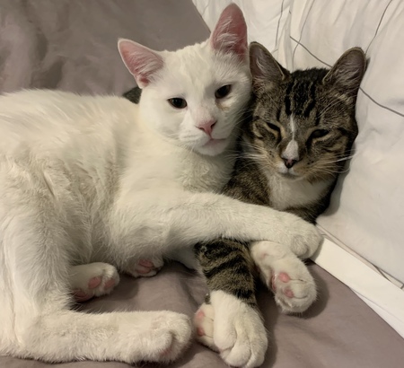 Warren and Ethel 