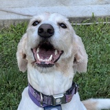 Entry image for Lucy 