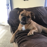 Entry image for Bella 