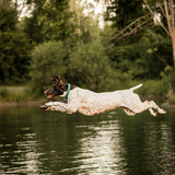 Entry image for Briar