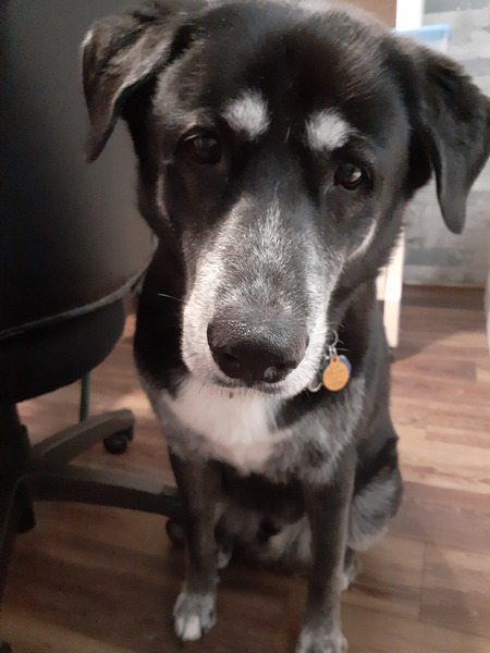 Entry image for Max. Clicking this image will show a larger photo