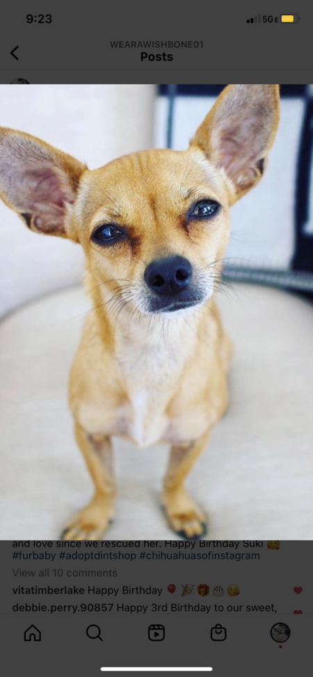 Suki