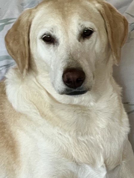 Ella