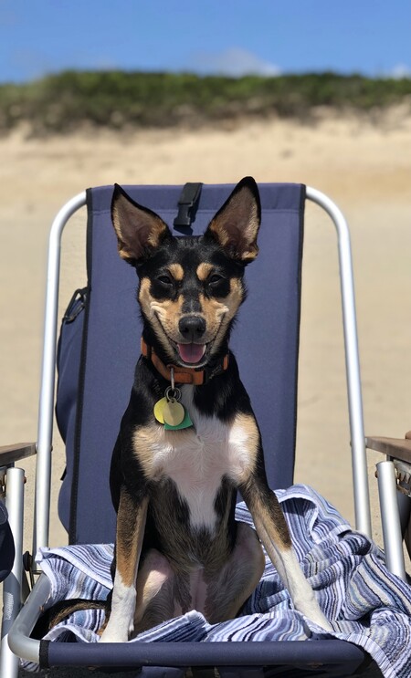 Suzie