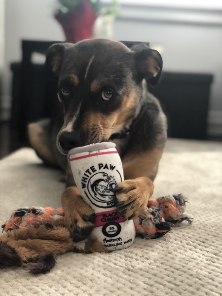 Coco