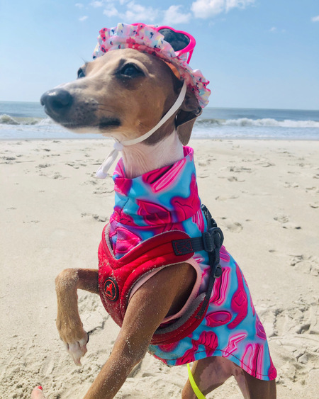 Bella