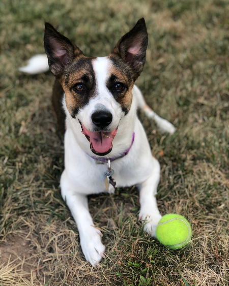 Penny