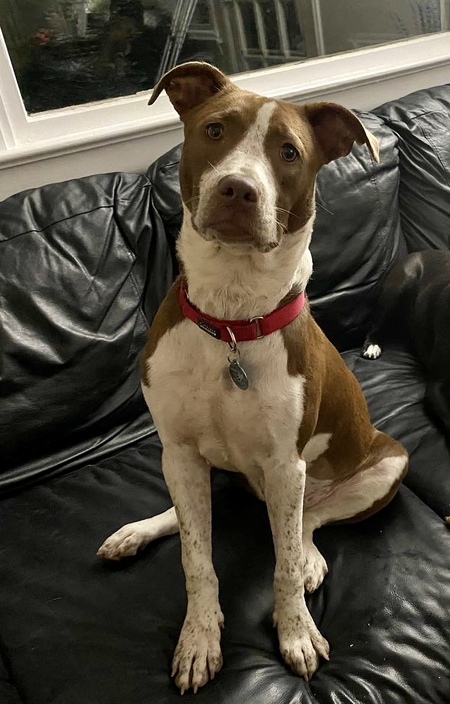 Nala