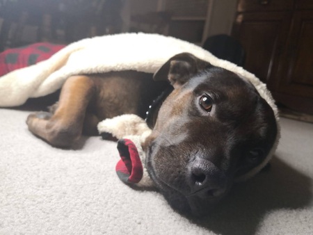 Tucker 