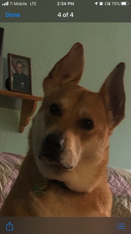 Sophie