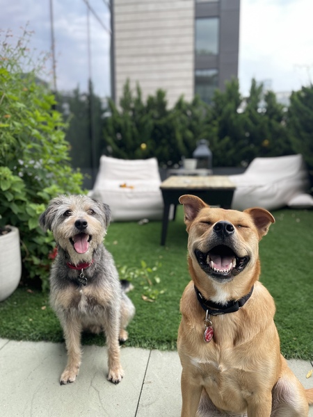 Hugo and Archie