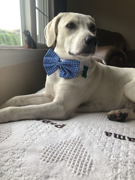Walter