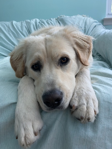 Charlie
