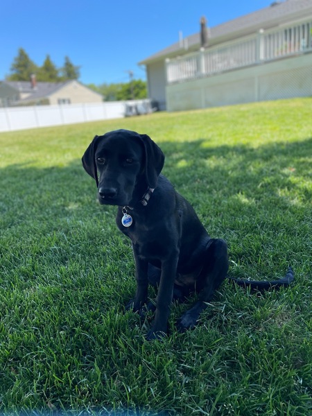 Max