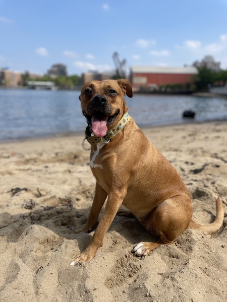 Darla