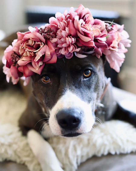 Sadie
