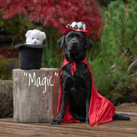 Magic
