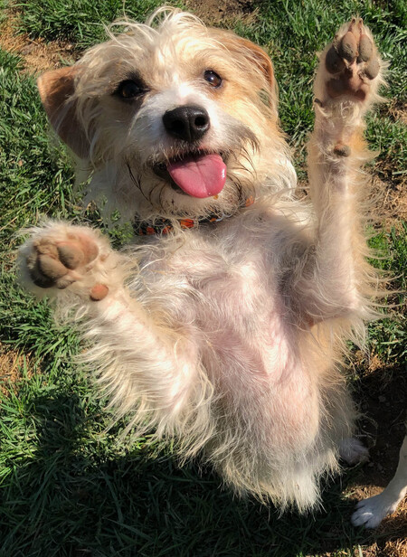 Charley