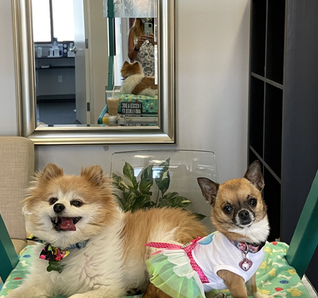 Elvis & Bebe