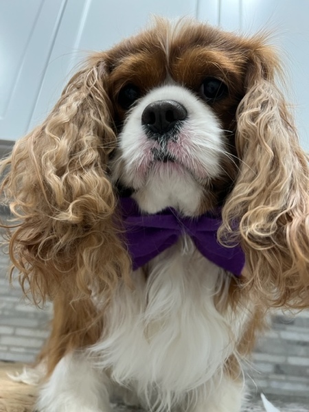 Oscar