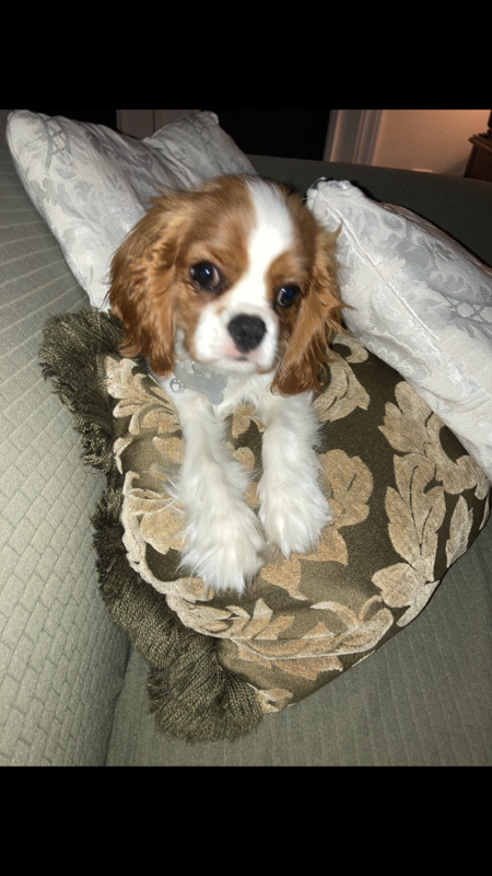 Zoe