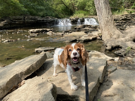 Millie