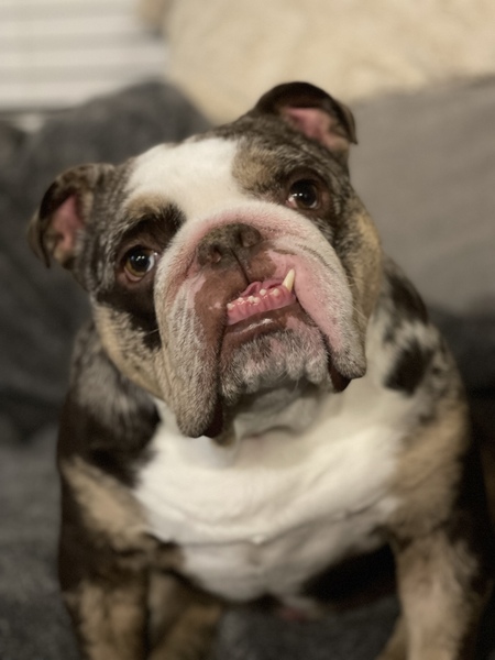 Nash