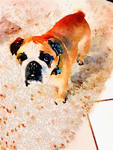 Otis