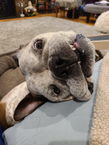 Miss Ellie