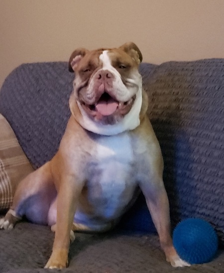 Lucy