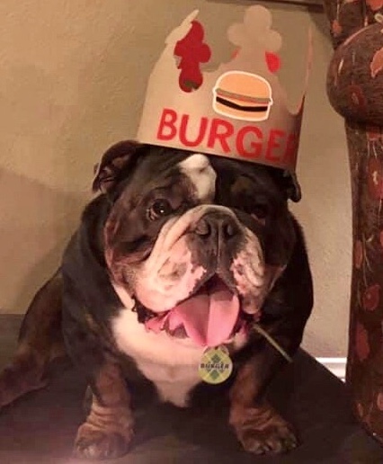 Burger