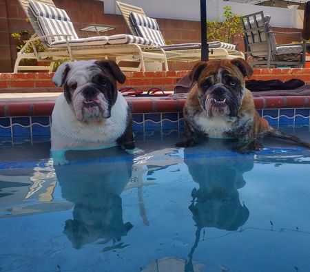 Bella and Cash