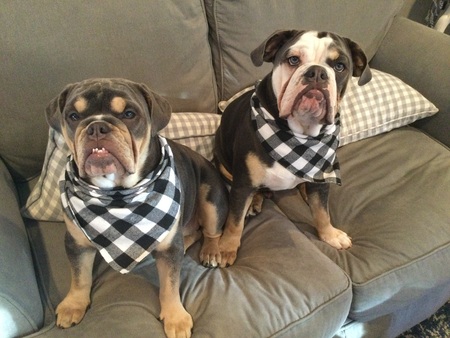 Brooklyn and Pee Wee