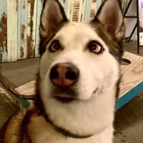 Entry image for Trooper