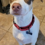 Entry image for Loki