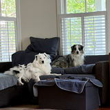 Entry image for Mojo