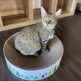 Entry image for Lulu