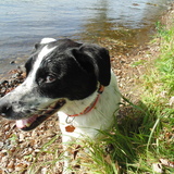 Entry image for Clive