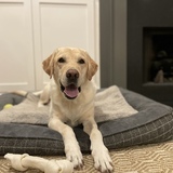 Entry image for Luke