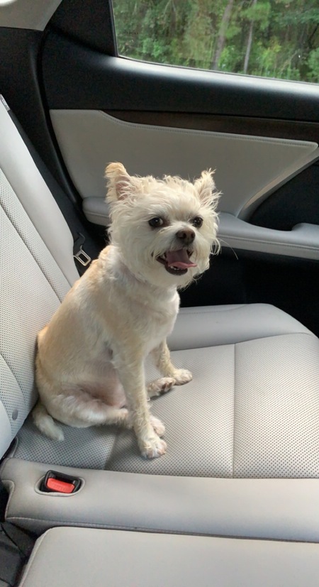 Entry image for Wally. Clicking this image will show a larger photo