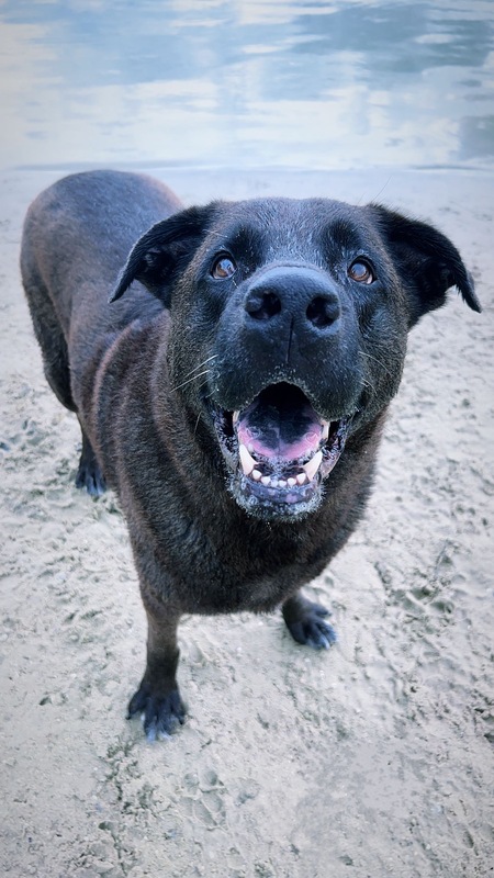 Entry image for Oakley. Clicking this image will show a larger photo
