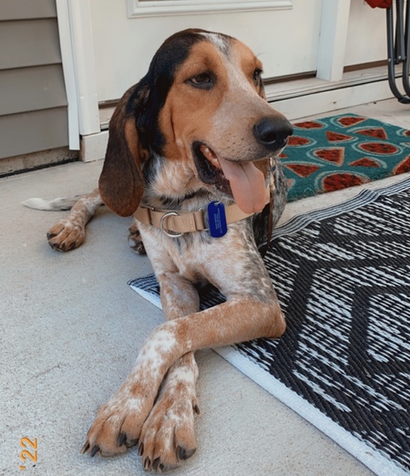 Entry image for Charlie. Clicking this image will show a larger photo