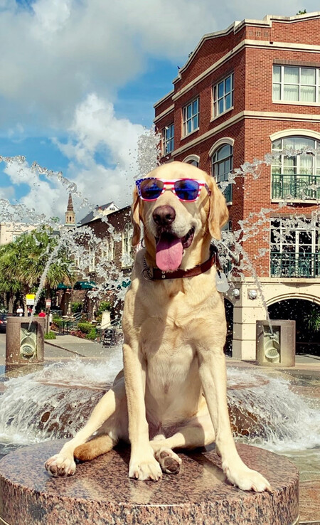 Entry image for Charleston Max. Clicking this image will show a larger photo