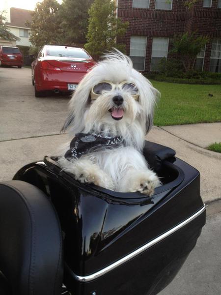 Sammy Boy Parker