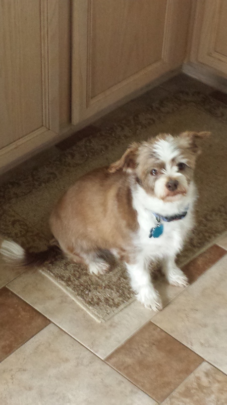 Toby 