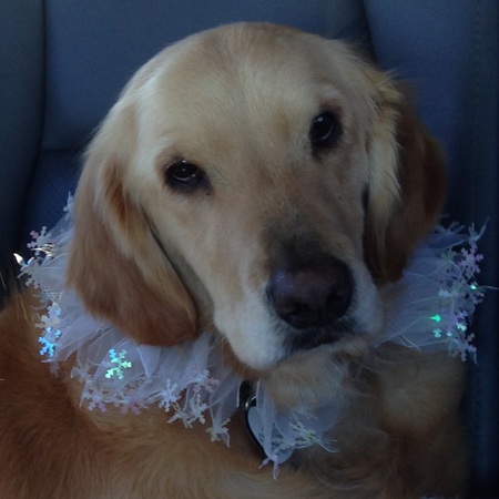 Entry image for Andie. Clicking this image will show a larger photo