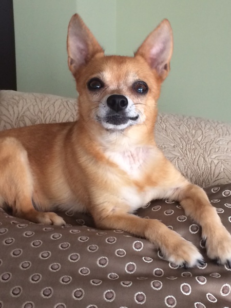 Chico