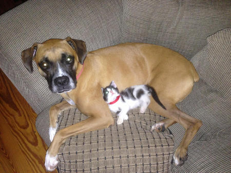 Archie & Eddie